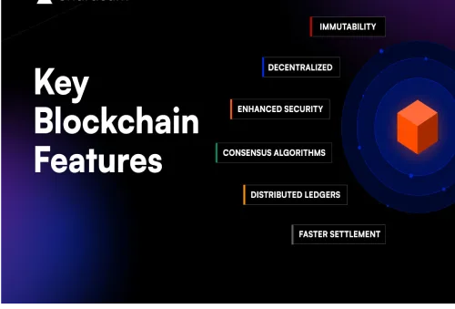 Exploring Blockchain Security: Varieties and Characteristics